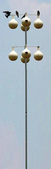 Heath MP-15G Telescoping Gourd Pole, 15 ft H, Steel